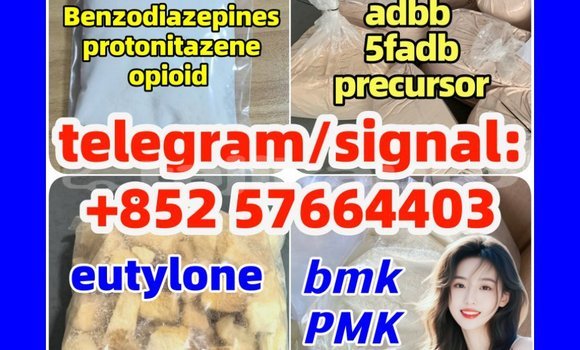 Medium with watermark z2