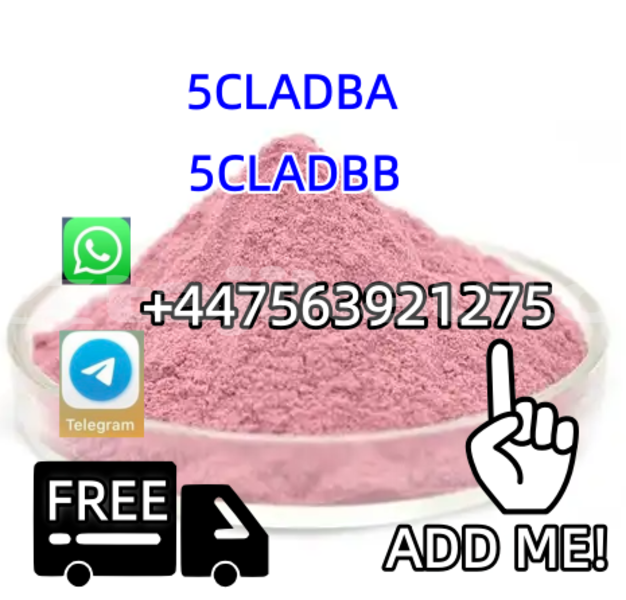 Big with watermark alpina b4 sughd chorku 18476