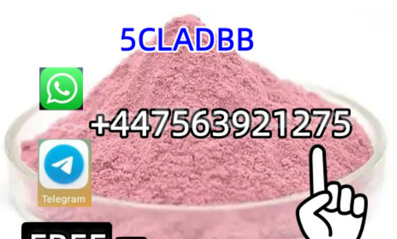 Buy New Alpina B4 White Car in Chorku in Sughd