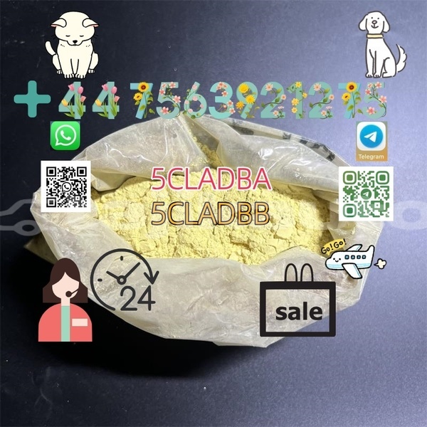 Big with watermark alpina b4 sughd chorku 18476