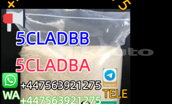 Buy New Alfa Romeo 147 White Car in Dushanbe in Dushanbe