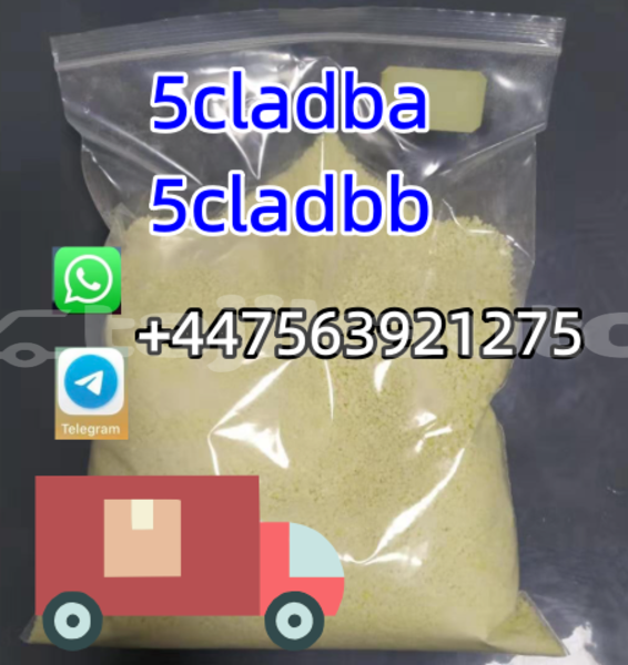 Big with watermark bedford cfs khatlon sovetskiy 18479