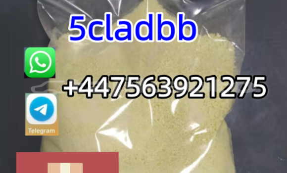 Buy New Bedford CFS White Car in Sovetskiy in Khatlon