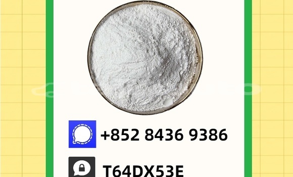 Buy Used Chevrolet Astro Black Car in Matcha in Sughd