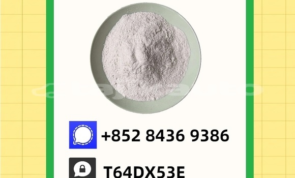 Buy Used Donkervoort D8 GTO Brown Car in Konibodom in Sughd Buy Used Donkervoort D8 GTO Brown Car in Konibodom in Sughd