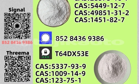 Buy Used Coggiola T Rex Brown Car in Leninskiy in Karotegin Buy Used Coggiola T Rex Brown Car in Leninskiy in Karotegin