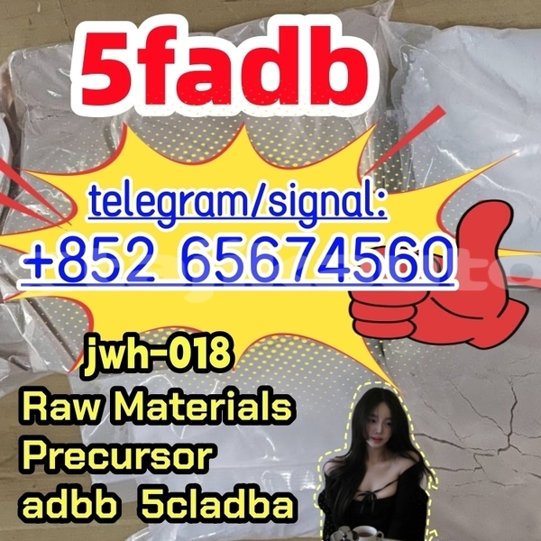 Big with watermark photo 2026 03 04 10 21 sefwef