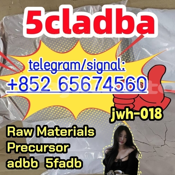 Big with watermark photo 2026 03 04 10 21 32 ewaferg%e5%89%af%e6%9c%ac