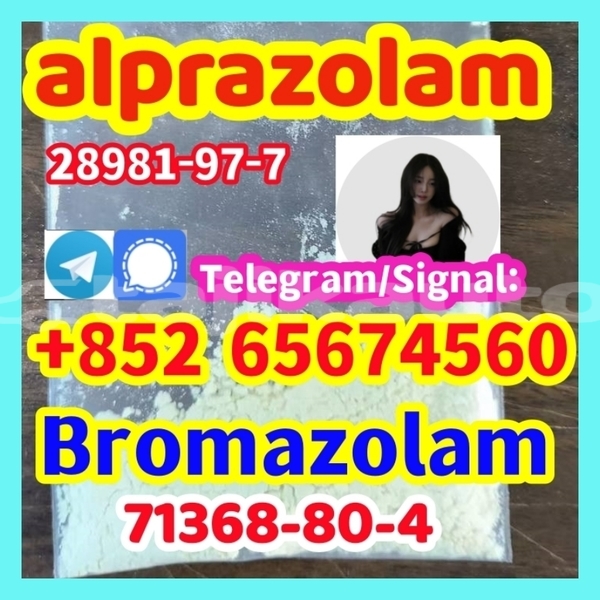 Big with watermark broalp2 %e5%89%af%e6%9c%acsdgrf