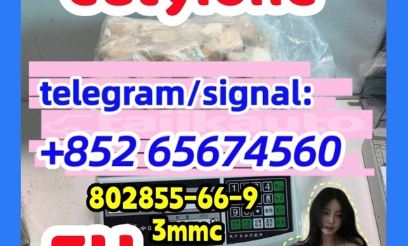 Medium with watermark %e6%9c%892