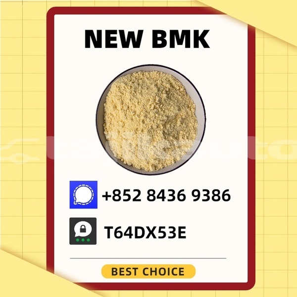 Big with watermark bertone freeclimber sughd matcha 18912