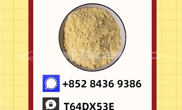 Buy Used Bertone Freeclimber Blue Car in Matcha in Sughd