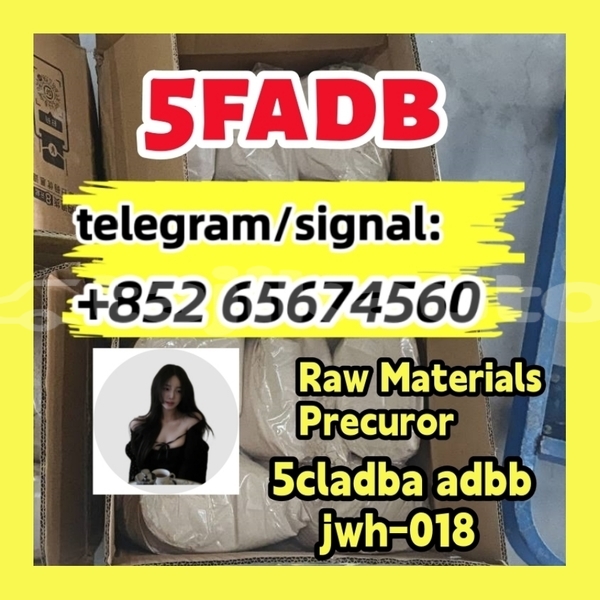 Big with watermark photo 2026 03 04 1dvgerth0 21 30 %e5%89%af%e6%9c%ac