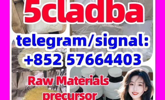 Medium with watermark 5cl2