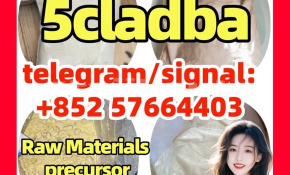 Medium with watermark 5cc3