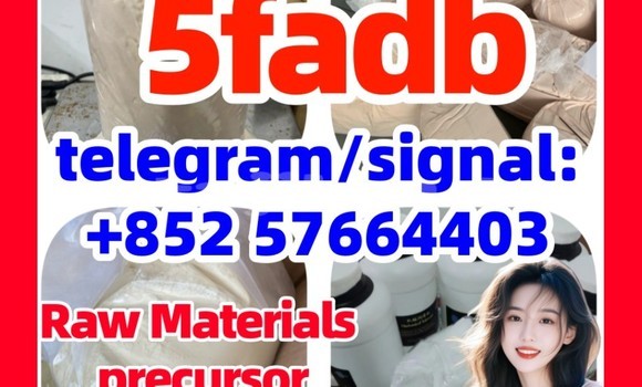 Medium with watermark 52