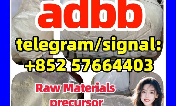 Medium with watermark 554