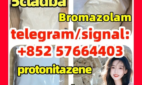 Medium with watermark z5