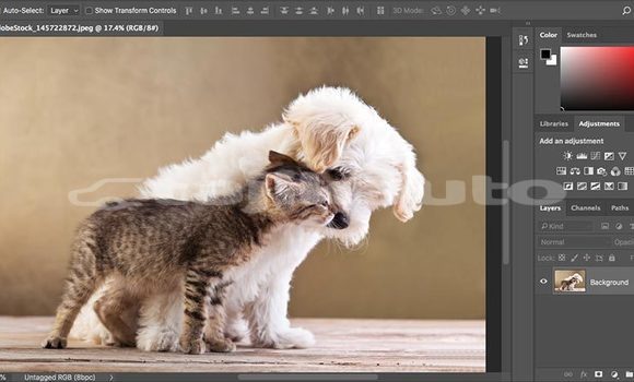 Buy Used AC Ace Black Car in Ayni in Sughd Buy Used AC Ace Black Car in Ayni in Sughd