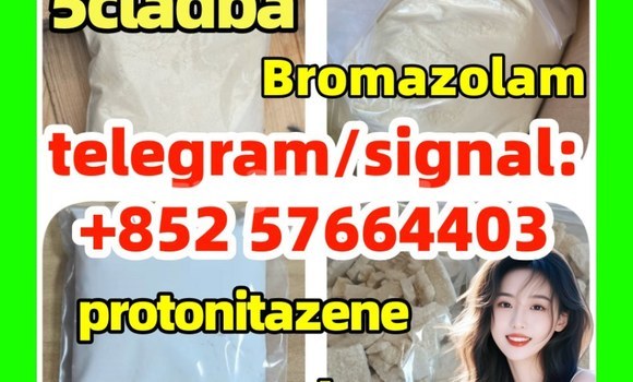 Medium with watermark z2