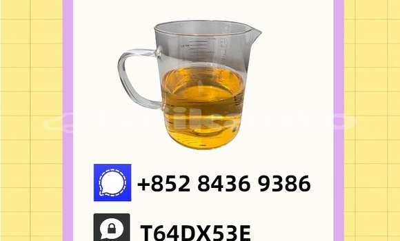 Buy Used Bertone Freeclimber Brown Car in Mu'minobod in Khatlon