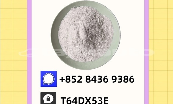 Buy Used Bitter Type 3 Beige Car in Matcha in Sughd