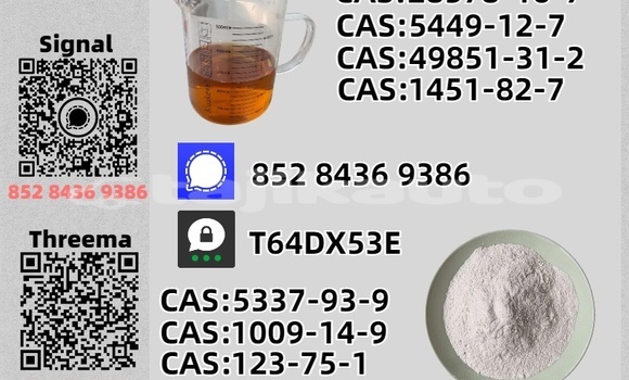 Buy Used Aurus Senat Brown Car in Khujand in Sughd