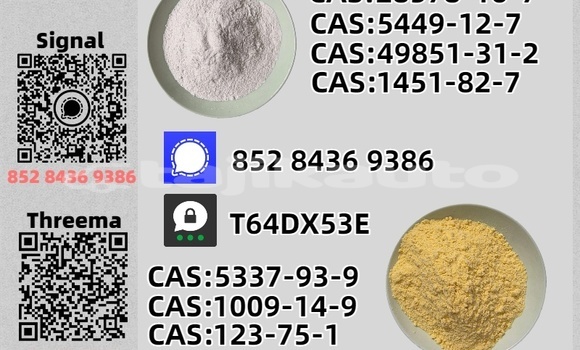 Buy Used Adler Trumpf Junior Brown Car in Khujand in Sughd