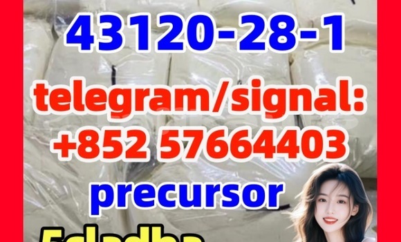 Medium with watermark 43121