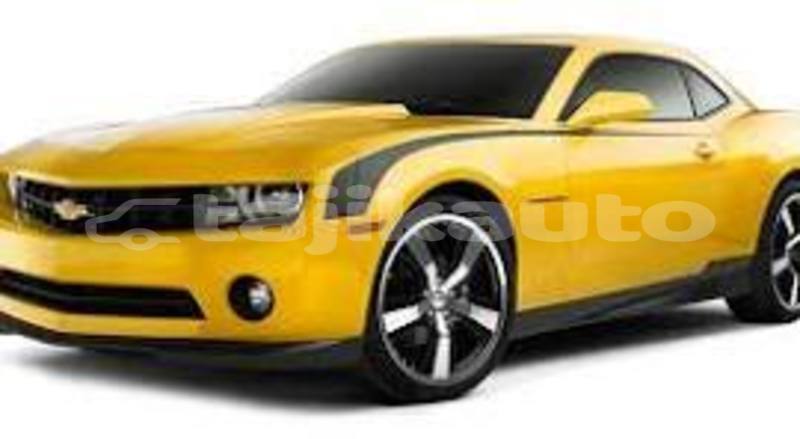 Big with watermark amc hornet sughd chorku 19329