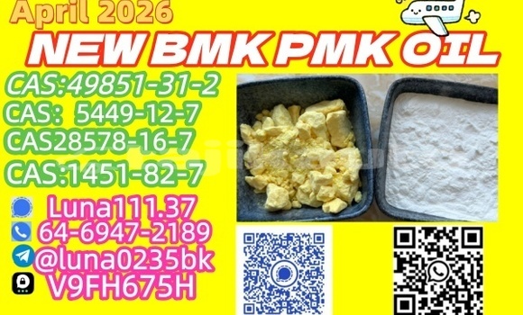 Buy Used AC Ace Beige Car in Adrasmon in Sughd