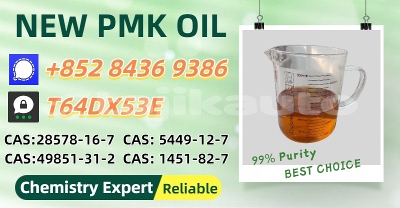 Big with watermark adler trumpf junior sughd matcha 19683