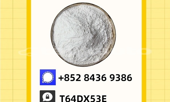 Buy Used Alfa Romeo 155 Blue Car in Moskva in Khatlon