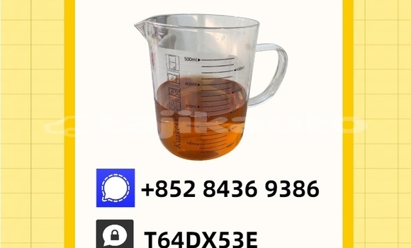 Buy Used Adler Diplomat Brown Car in Buston in Sughd