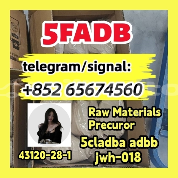 Big with watermark photo 2026 03 04 1dvgerth0 21 30 %e5%89%af%e6%9c%ac