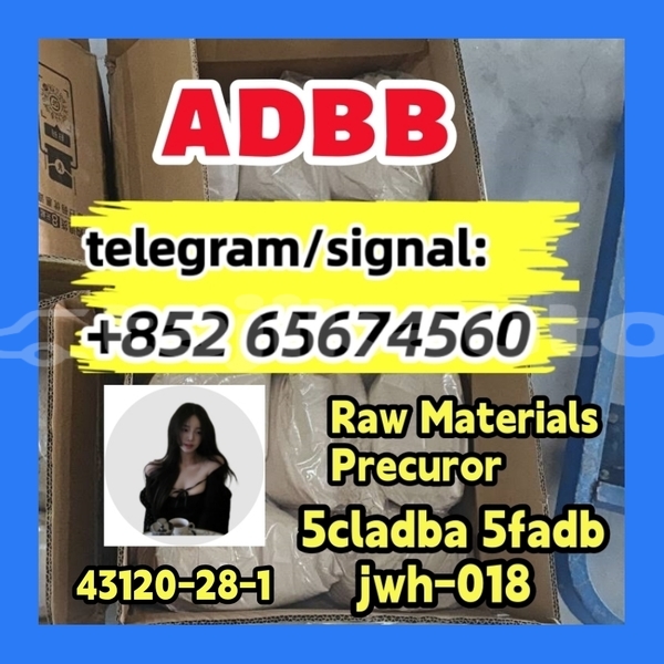 Big with watermark photo 2026 03 04 10 21fdbfgb 30 %e5%89%af%e6%9c%ac