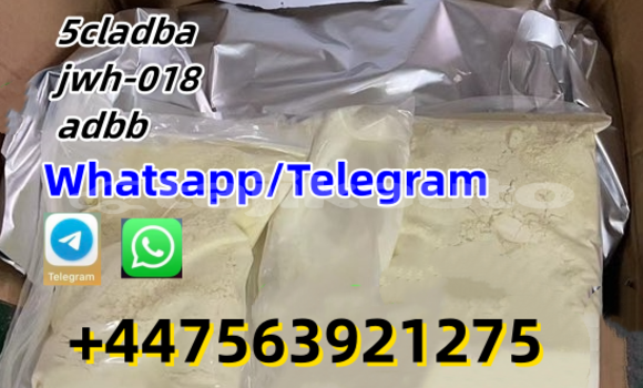 Buy New Alpine A610 Black Car in Dangara in Khatlon