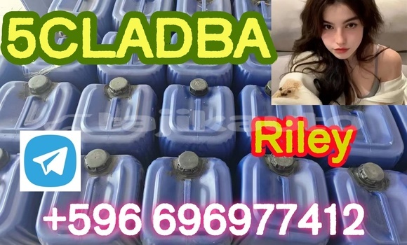 Medium with watermark 5