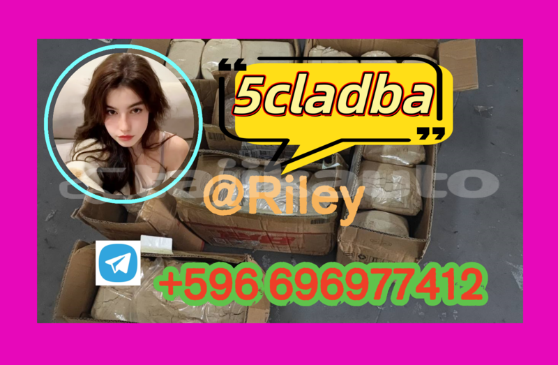 Big with watermark 1.4