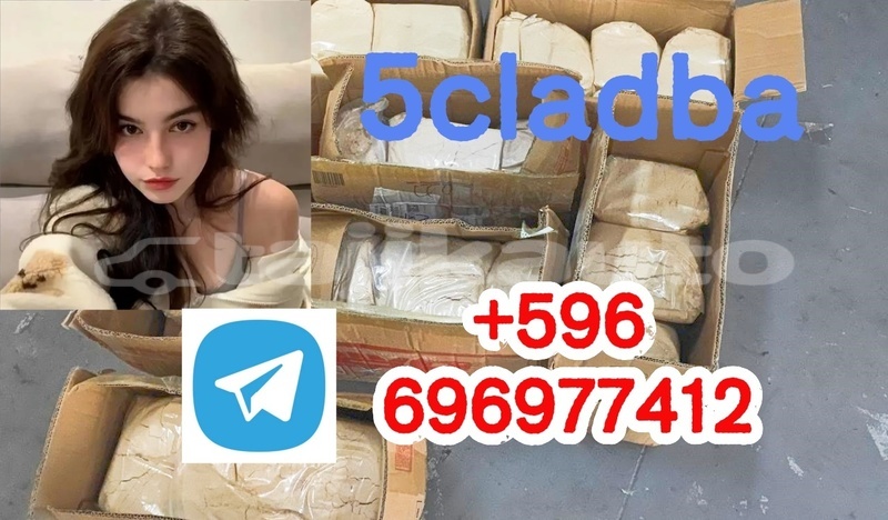 Big with watermark 2.4