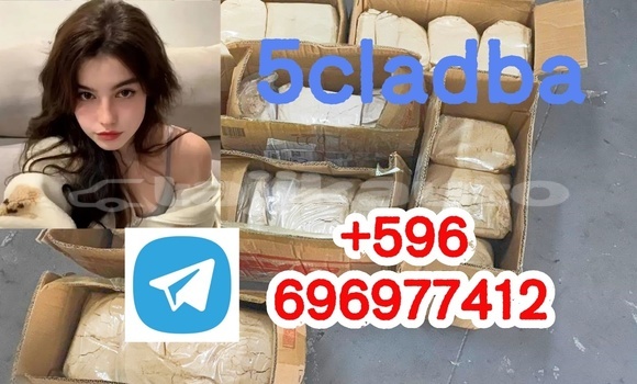 Medium with watermark 2.4