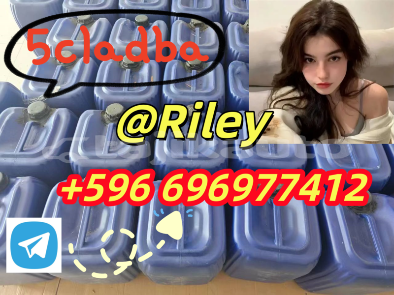 Big with watermark 1.6