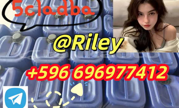 Medium with watermark 1.6