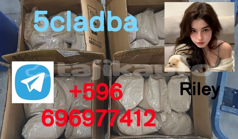 Big with watermark photo 2026 04 21 15 06 55 %e5%89%af%e6%9c%ac