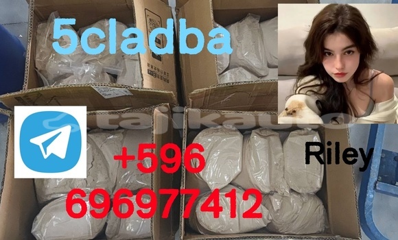 Medium with watermark photo 2026 04 21 15 06 55 %e5%89%af%e6%9c%ac