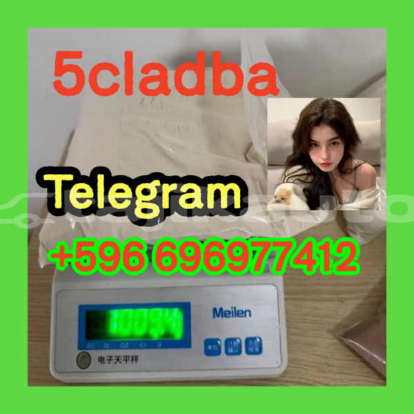 Big with watermark photo 2026 04 21 15 07 07 %e5%89%af%e6%9c%ac