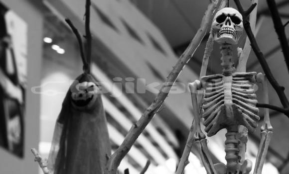 Medium with watermark pexels efrem efre 2786187 14205196