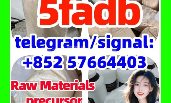 Medium with watermark 51