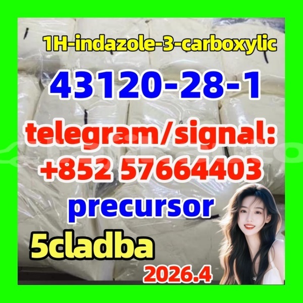 Big with watermark 43120