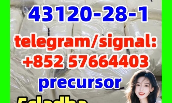 Medium with watermark 43120